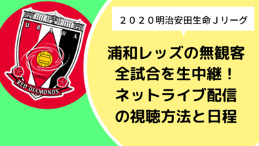 【2020】浦和レッズの無観客全試合を生中継！ネットライブ配信の視聴方法と日程まとめ