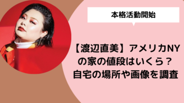 渡辺直美 アメリカnyの家の値段はいくら 自宅の場所や画像を徹底調査 日々の知りたいこと