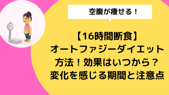 16時間断食 オートファジーダイエット方法 効果はいつから 変化を感じる期間と注意点 日々の知りたいこと